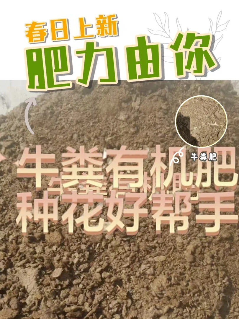 纯天然牛粪种花种菜园艺阳台花园绿植多肉天选有机肥料