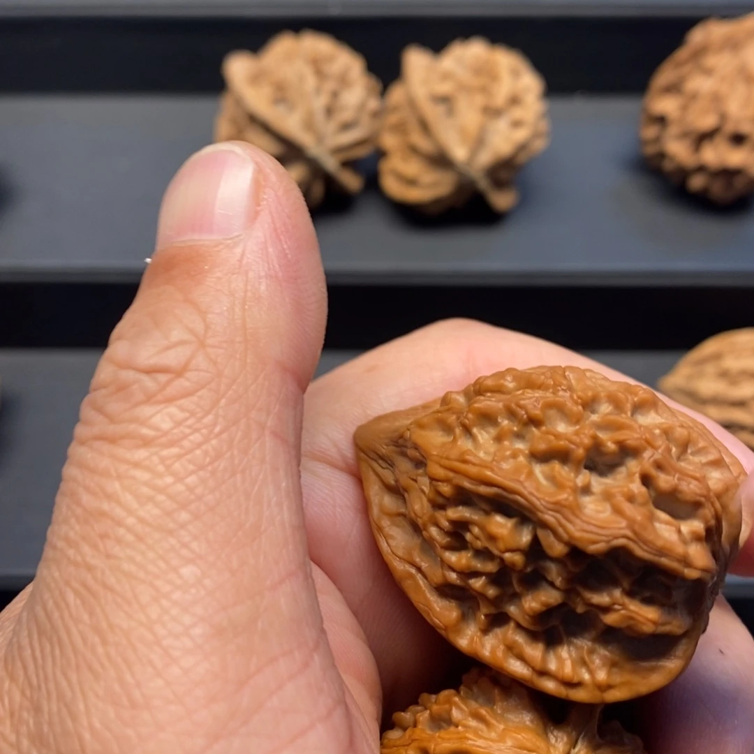 翔**?秦岭南北缘是指长江北岸