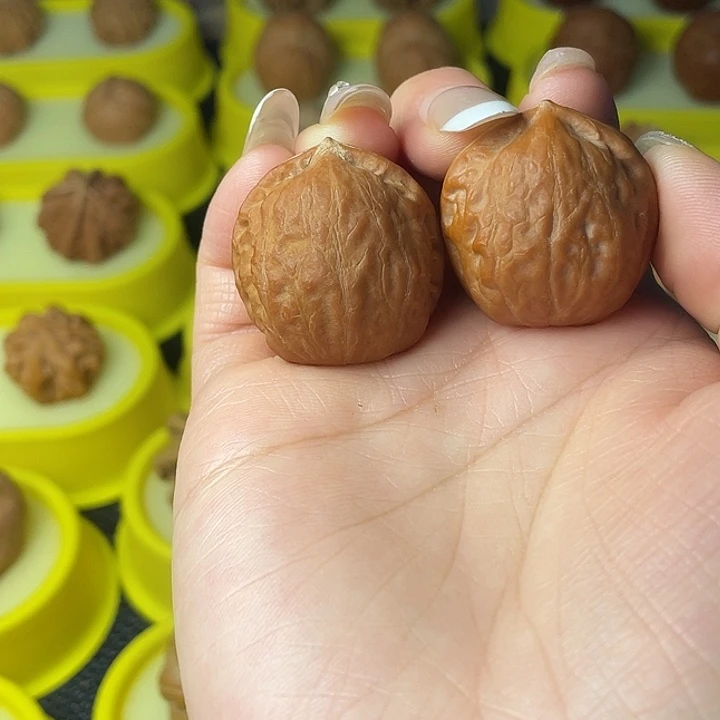 伟***伟吊坠文玩核桃平底蚂蚁纹