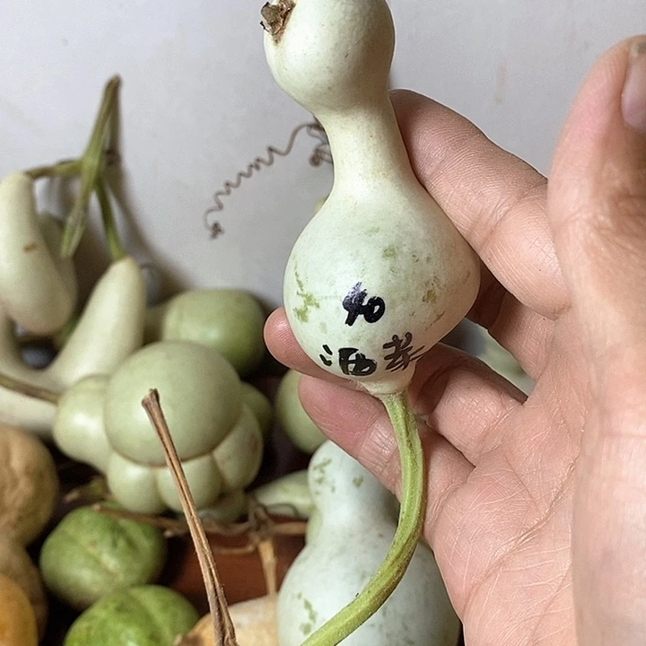 酒***子青皮葫芦手把件摆件