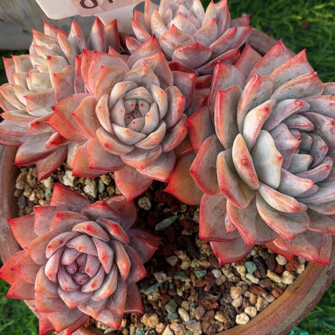 0118满30包邮天冷必拍保温箱