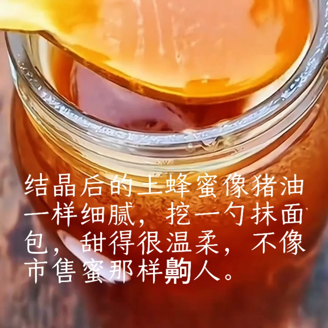 土蜂蜜农家土养自产自销一年取一次农家土蜂蜜蜂糖纯天然