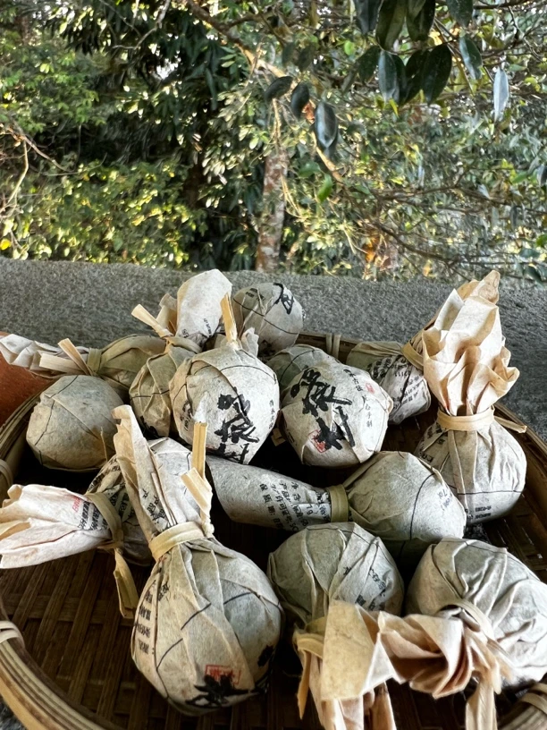 2024易武哆依树春7克龙珠生普洱茶