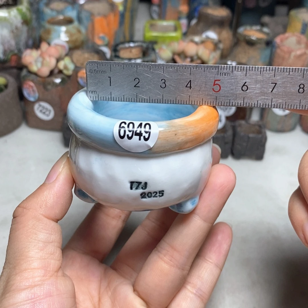 拍3送一个小礼物