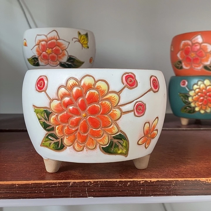 韩式多肉植物花盆