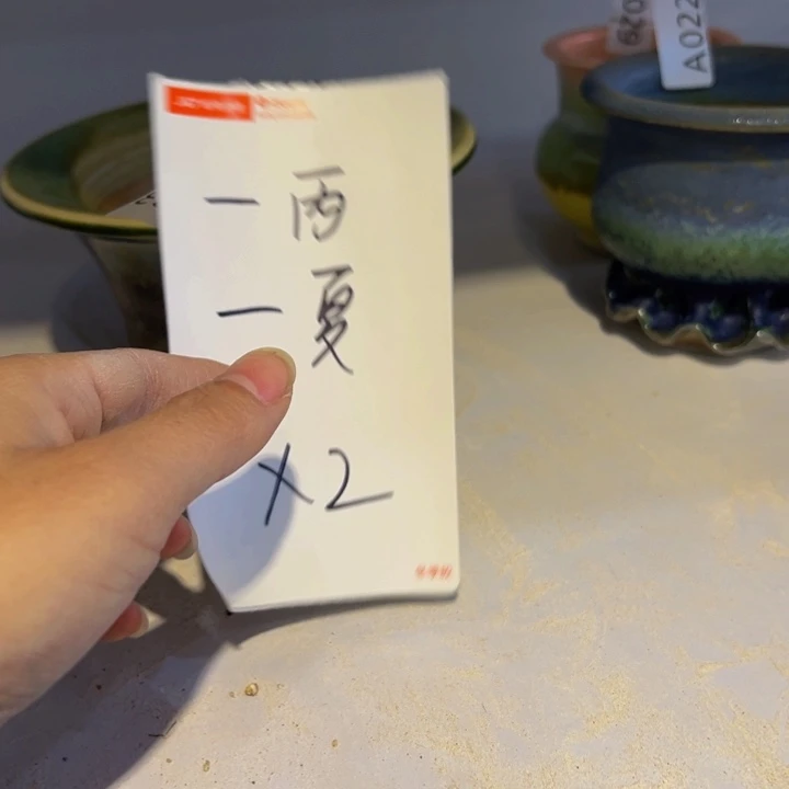 景德镇陶瓷研究所一***夏