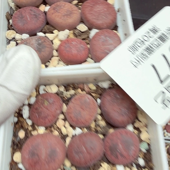 我就觉得这个女主角太077这个