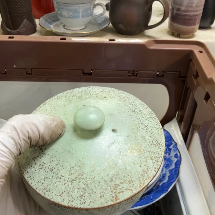 瓷片勇开播啦..开播啦！