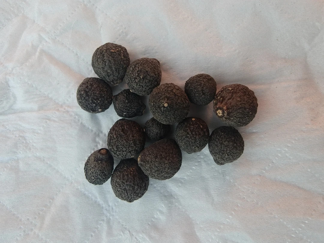 李总东南亚山货（小桔红果）农副产品香菇类