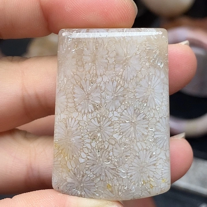 硅化玉未镶嵌颈饰