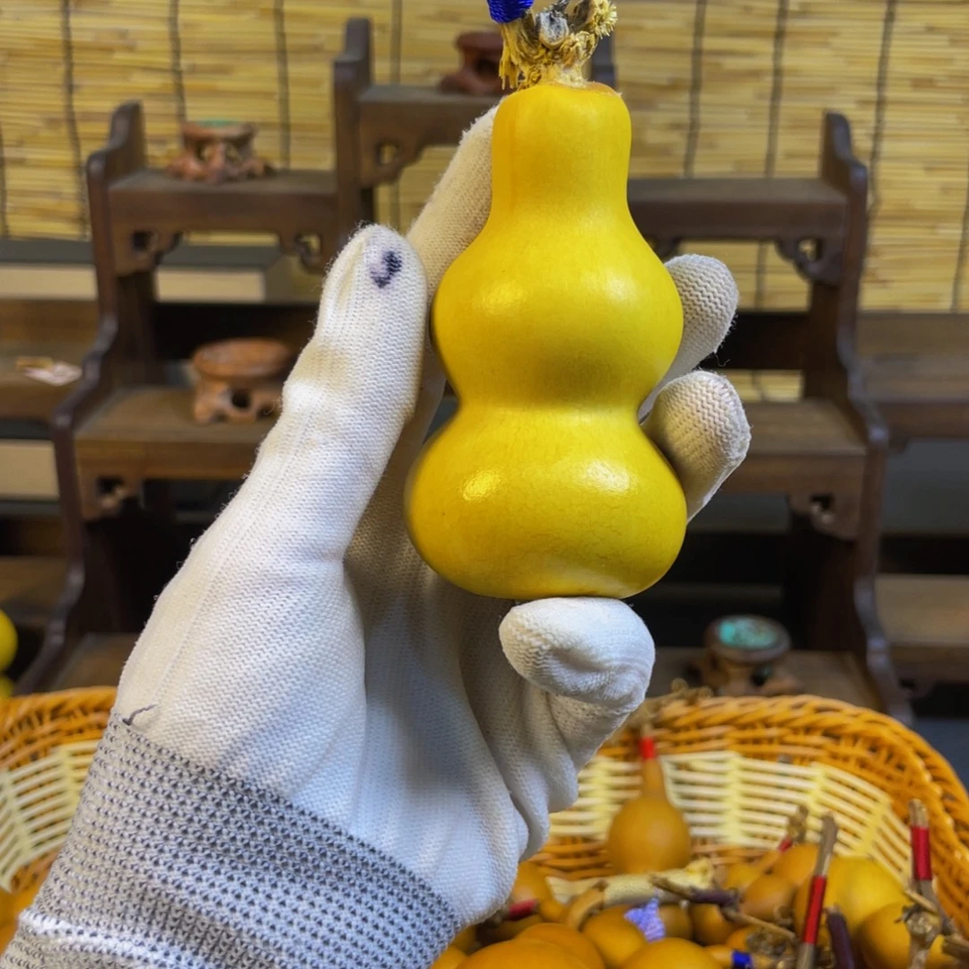 起***名我是一只小小鸟地域鬼的