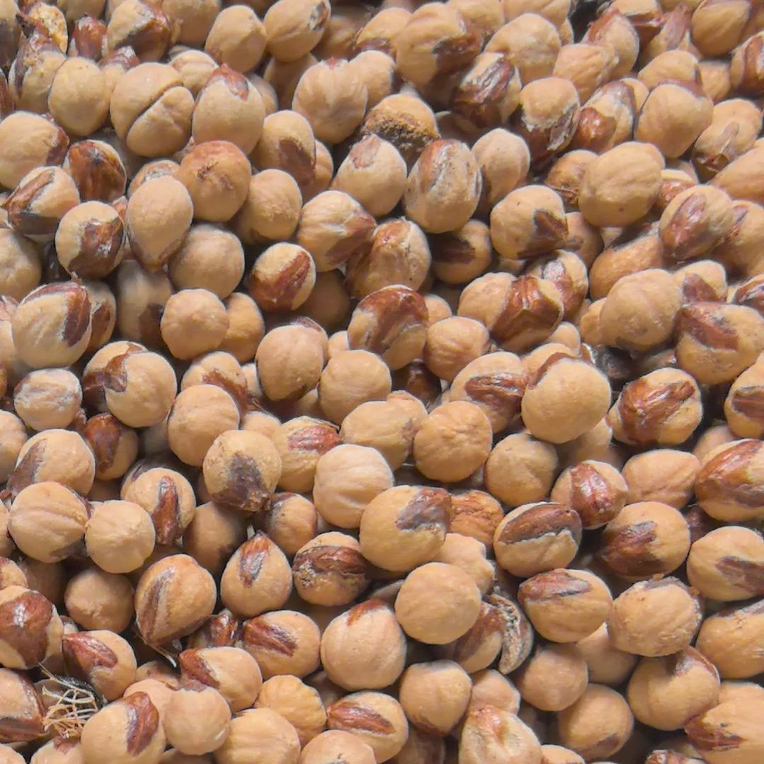 吊坠柏香籽/百香籽