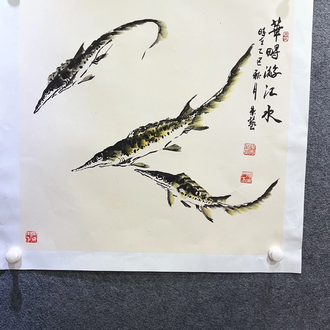 国画知鱼知乐纯手绘