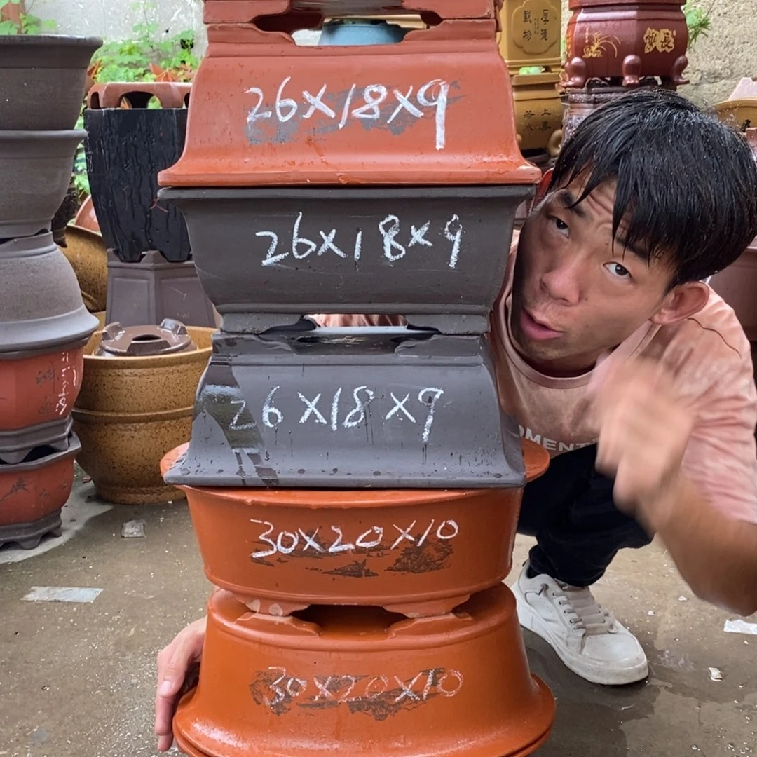紫砂紫砂紫砂紫砂