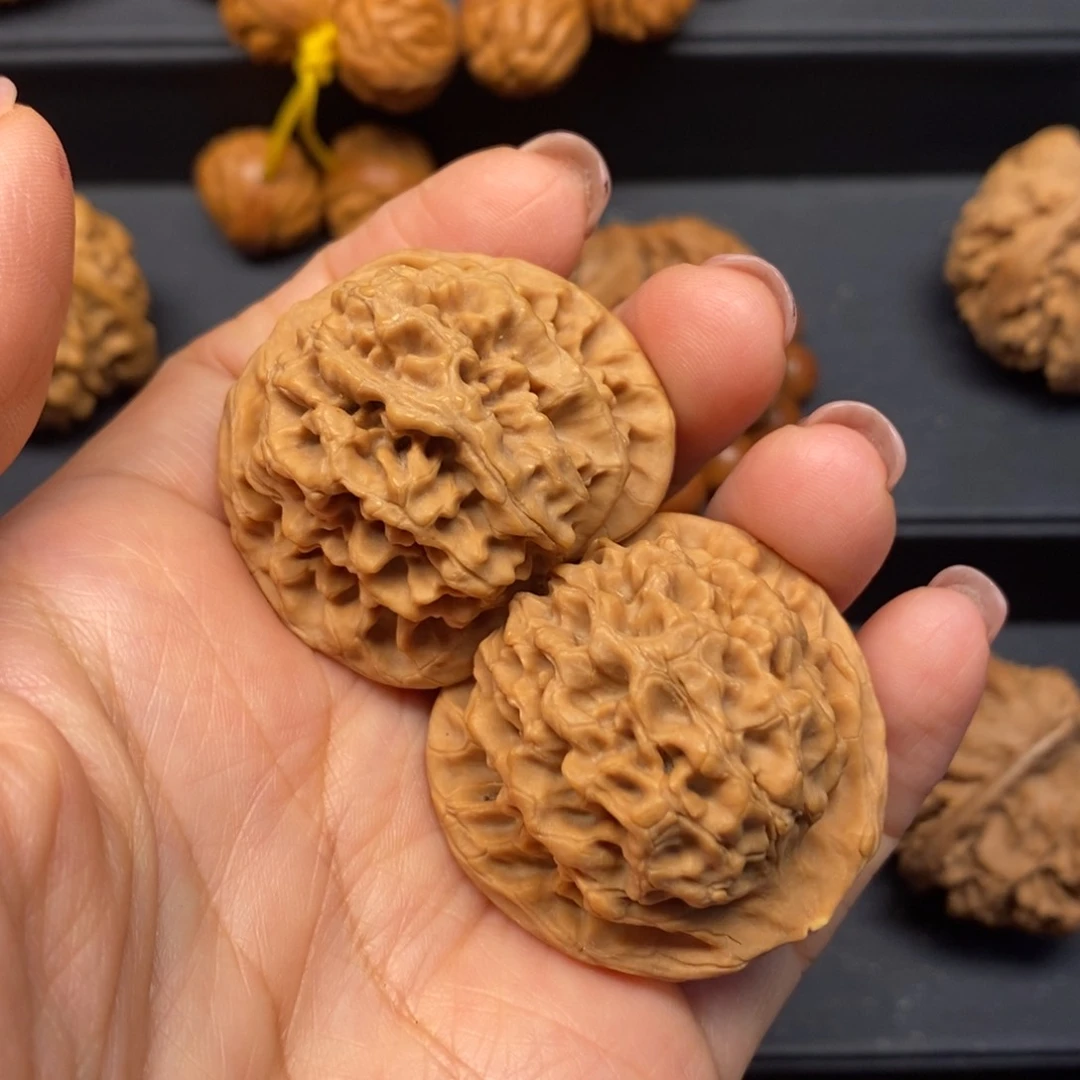 L****七秦岭南北缘和秦岭北麓