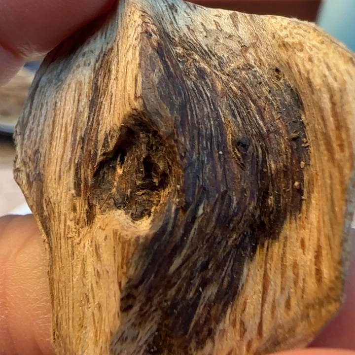 爱***8沉香摆件惠东虎斑棋1.9克