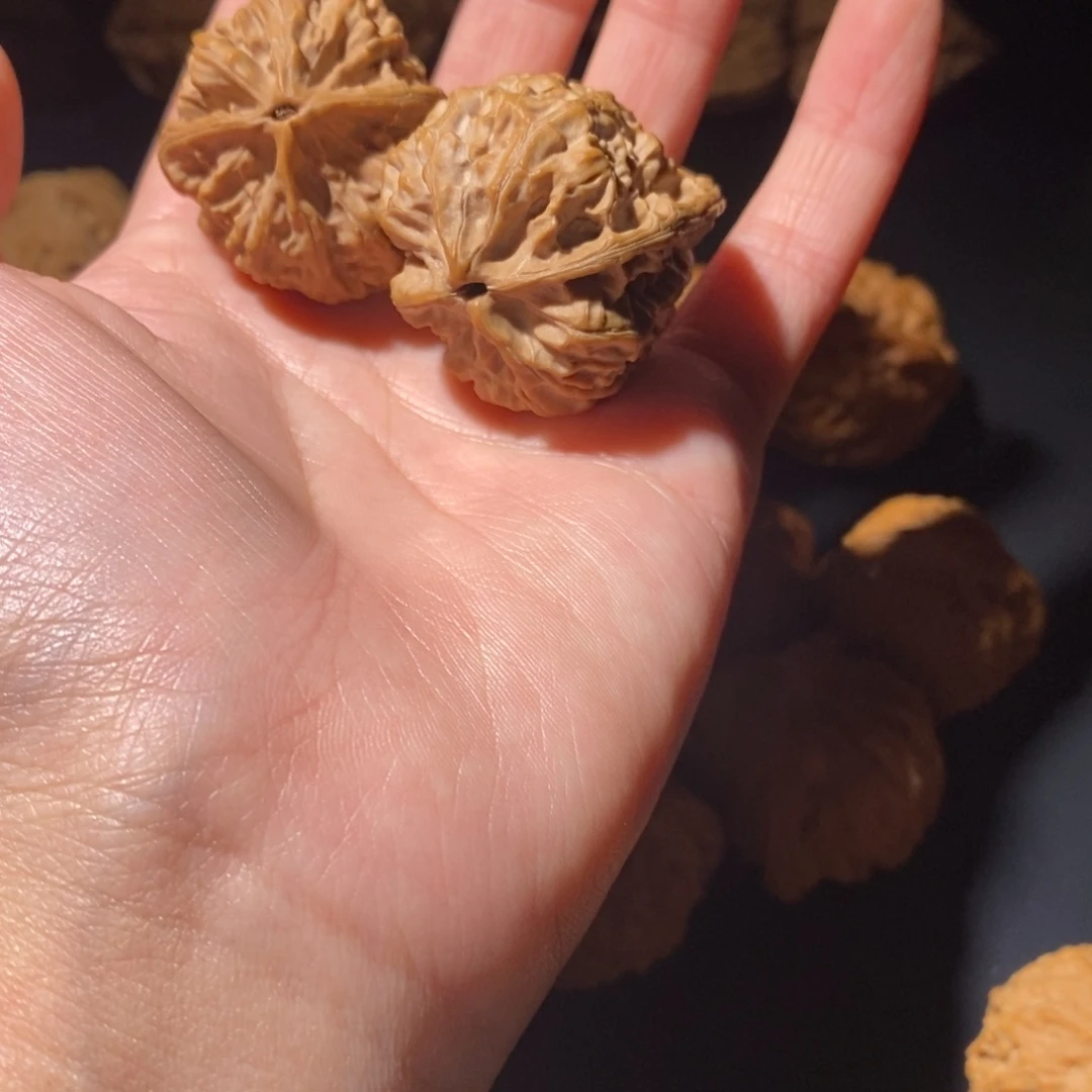 梦***猫吊坠文玩核桃九龙鸭嘴