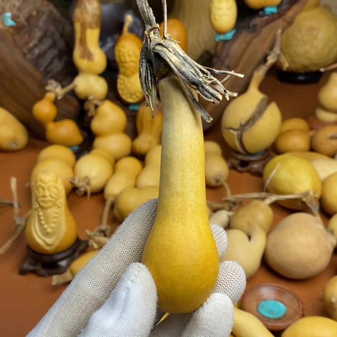 砥***行教练咯考虑路途教练咯