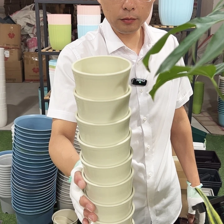 特价竹节15口10高10米色无托10只