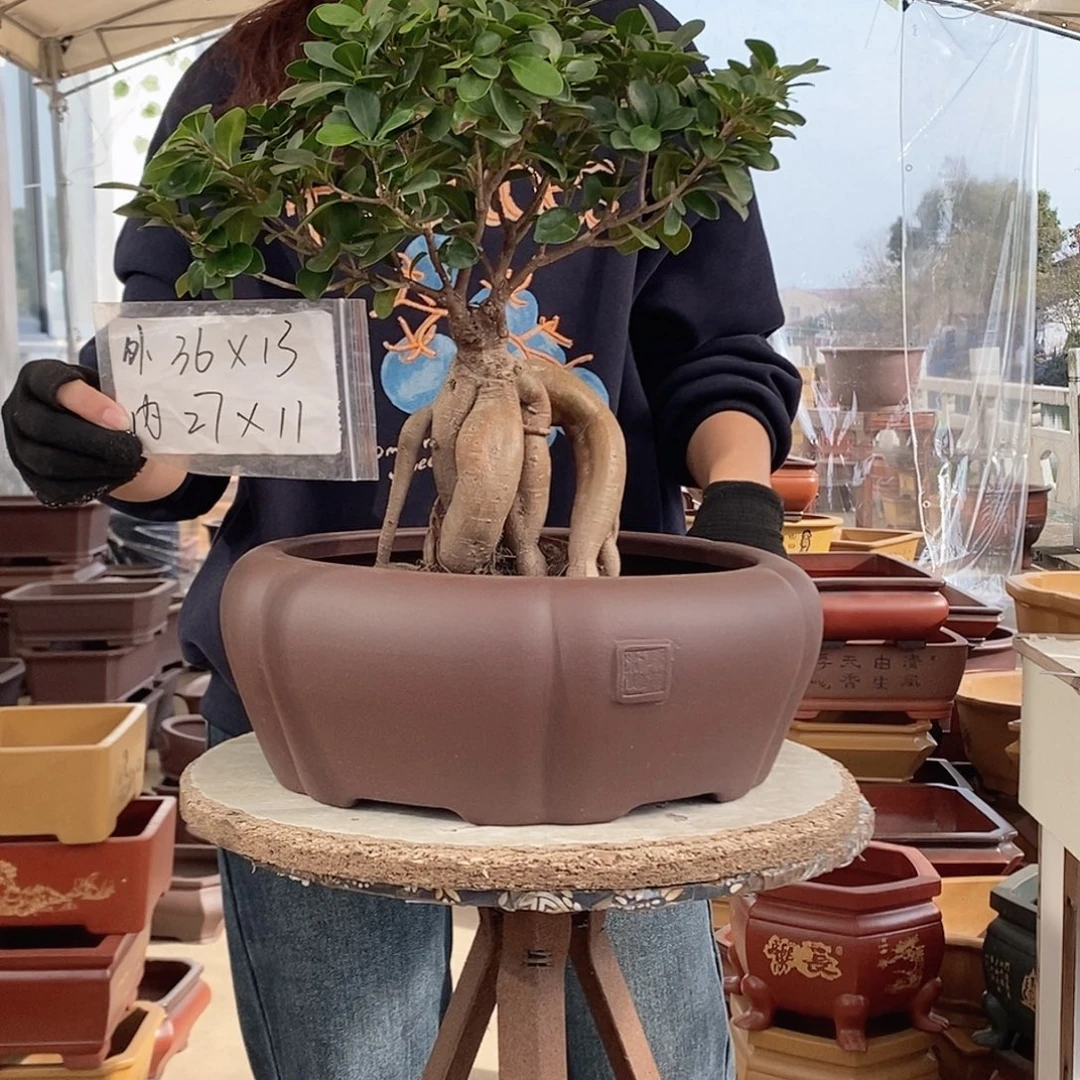 花盆紫砂紫砂花盆