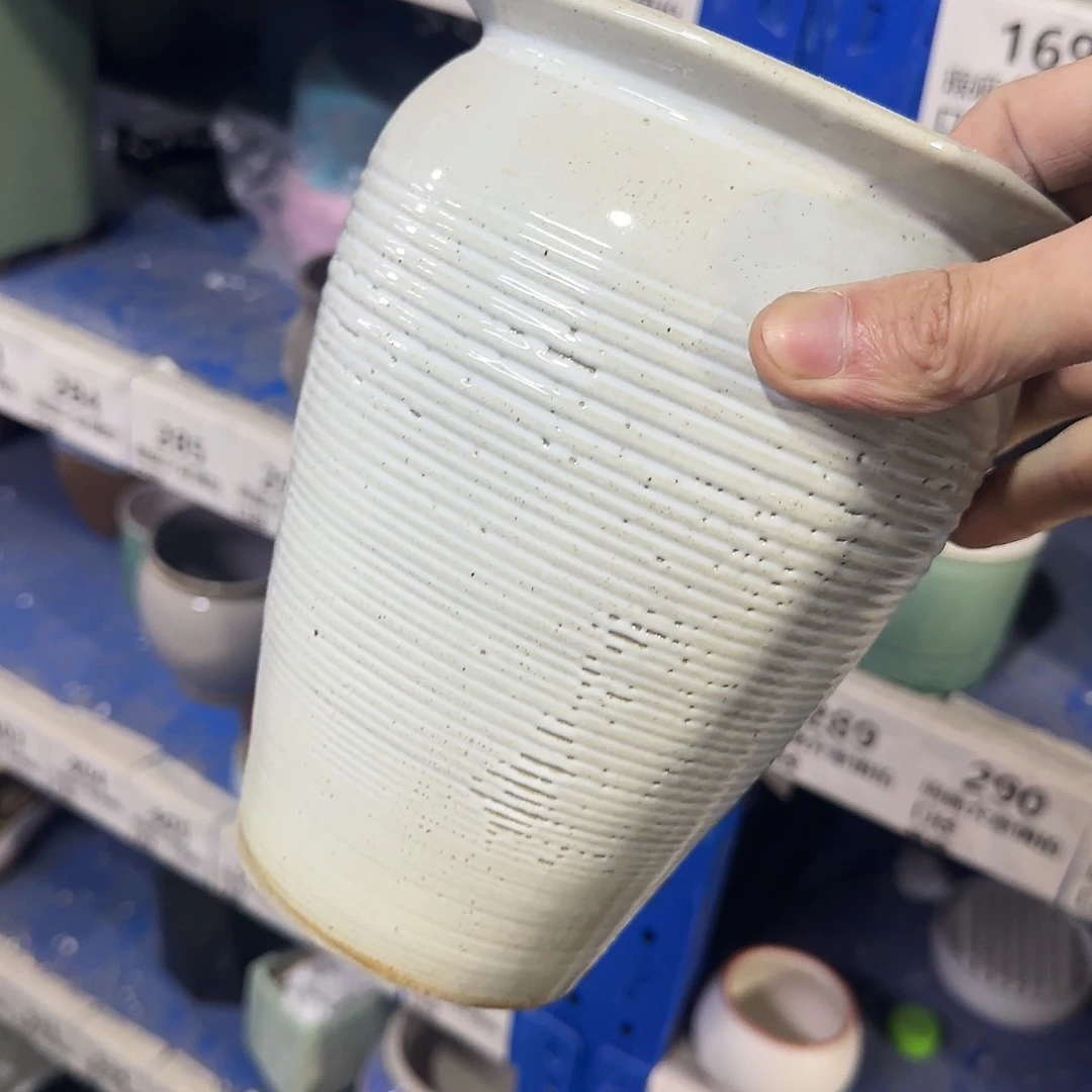 福利局绿植多肉盆［凑9元包邮24小时发］169瑕疵品