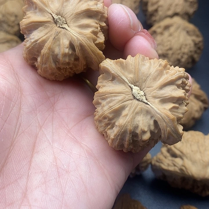 龙脊菩提吊坠三角白43