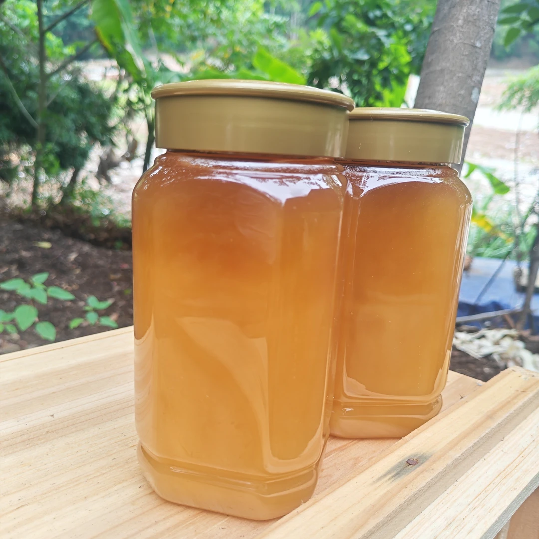 蜜蜂口粮  饲料   桉树  蜜蜂养殖专用