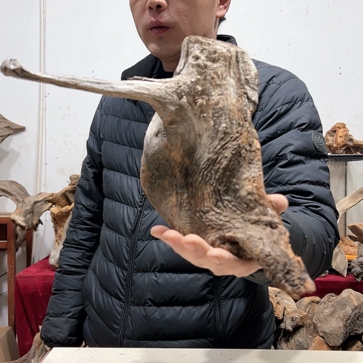 柏木西****）我们的生活也是如此