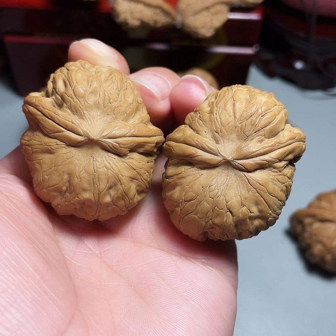 核桃手串/手链精品元宝飞蛇