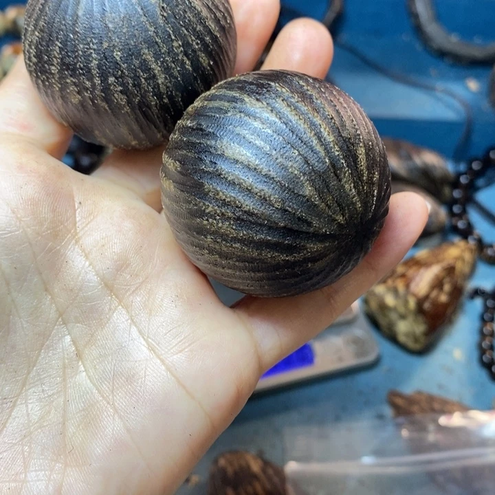 香榧木a***见4.5高油脂手球好料