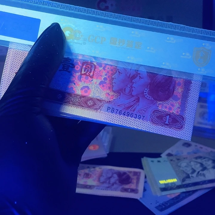 黄金圣龙……………………………………