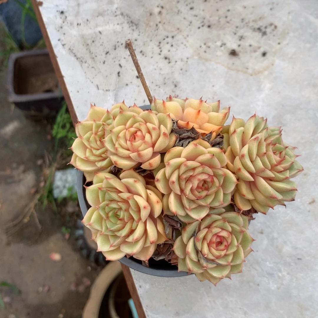 清楚明白你自己在哪