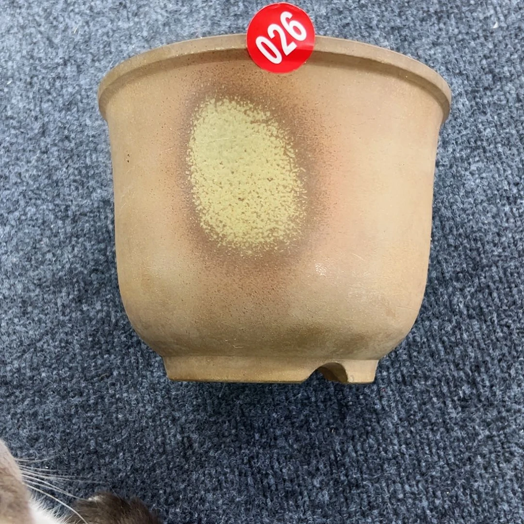 随***兵本以为是三分热度，却是十分喜欢026