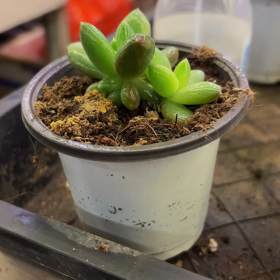 7***7啦啦啦啦啦啦啦啦啦啦啦啦