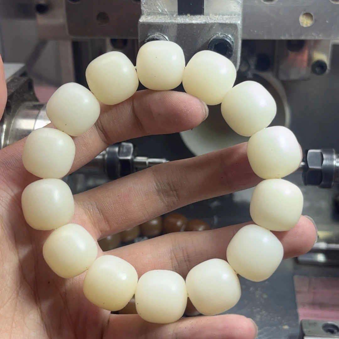 菩提根/象牙果手串