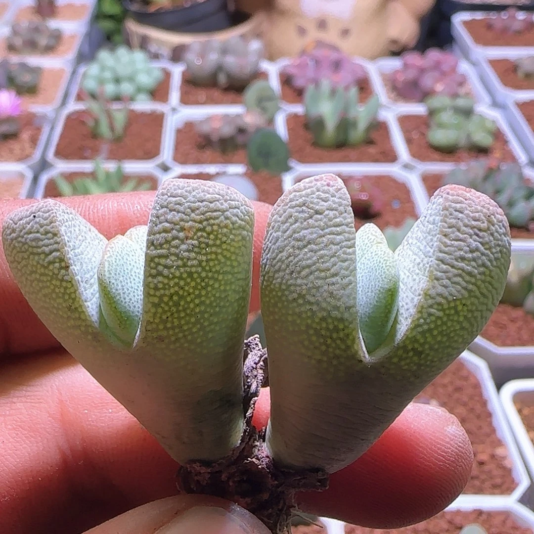 哈哈哈哈哈哈哈204