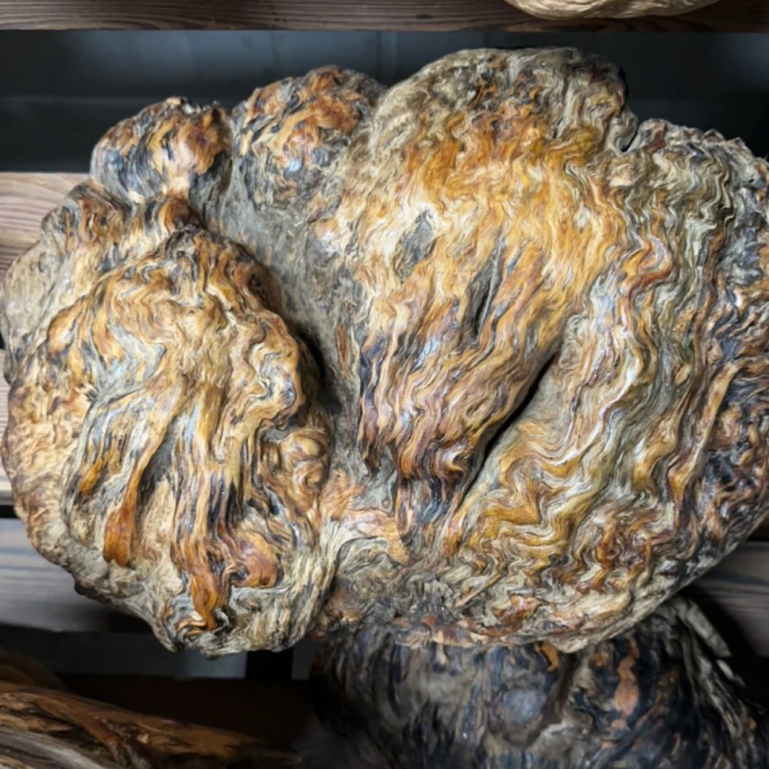 【一物一拍】古红松琥珀木【极品高货】