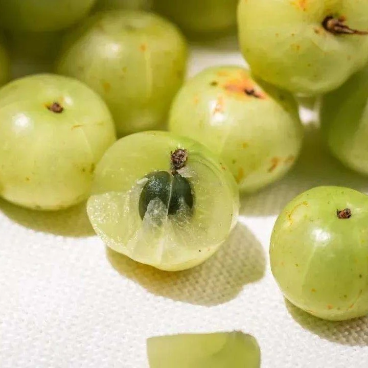 新鲜采摘油甘果牛甘果余甘果滇橄榄解腻酸回甘水果