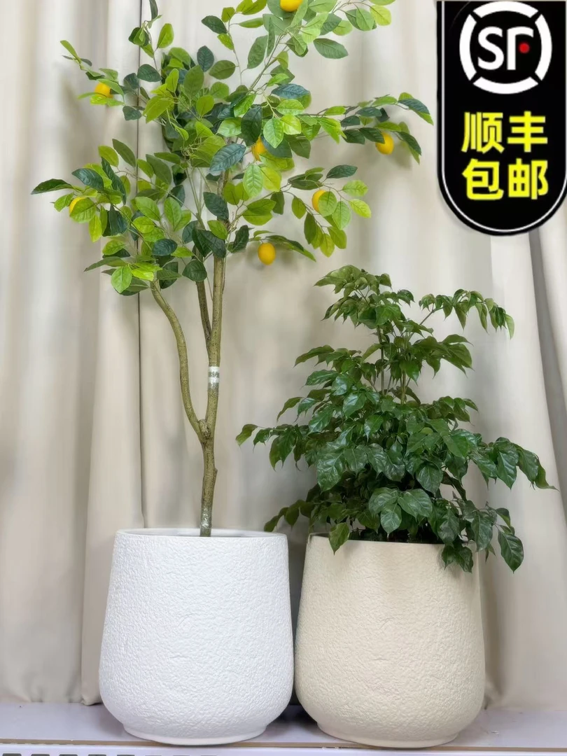 复古镁泥花盆现代简约北欧ins风绿植盆阳台装饰摆件麻面酒杯款