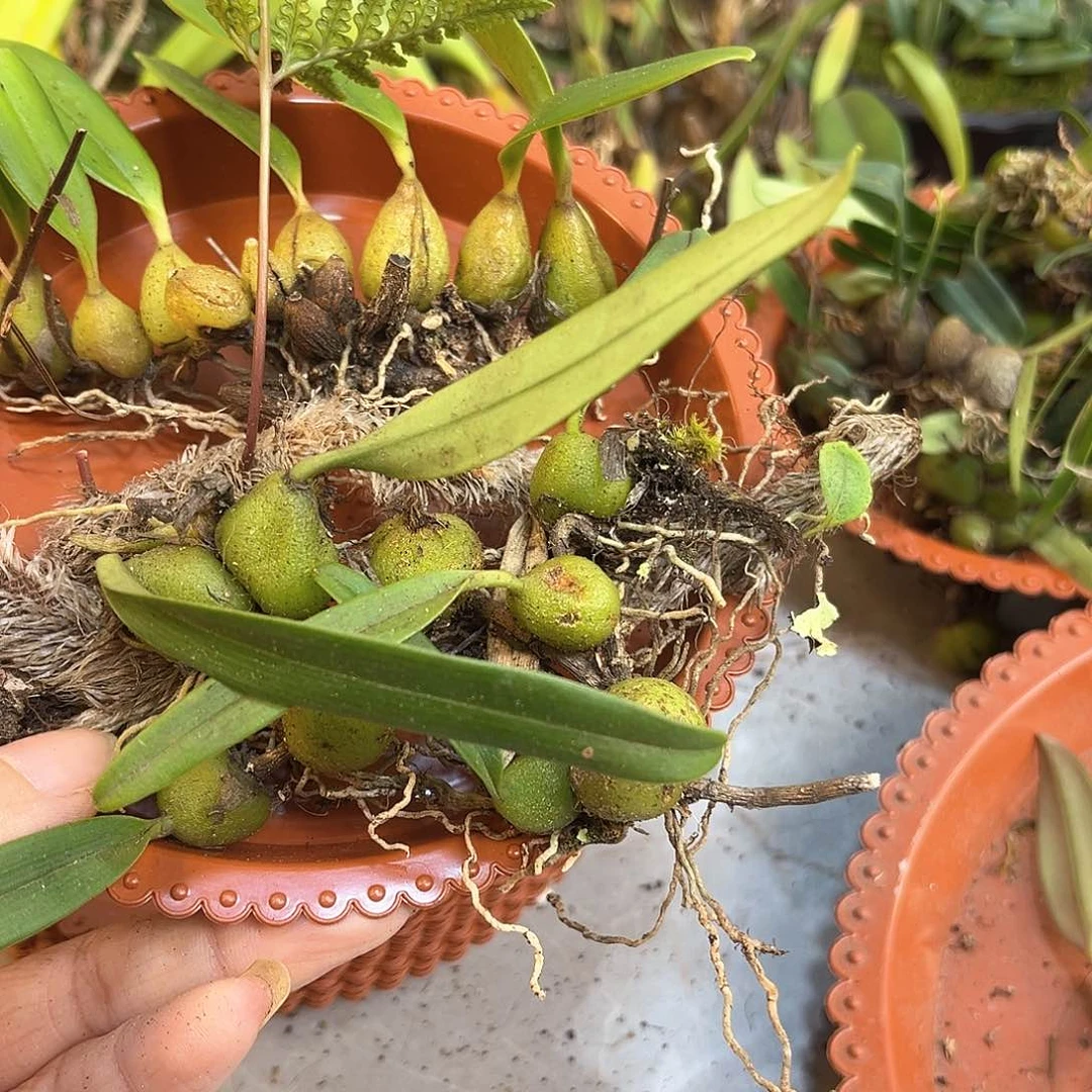 i*y10。。。。。。。。。。。。。。。。