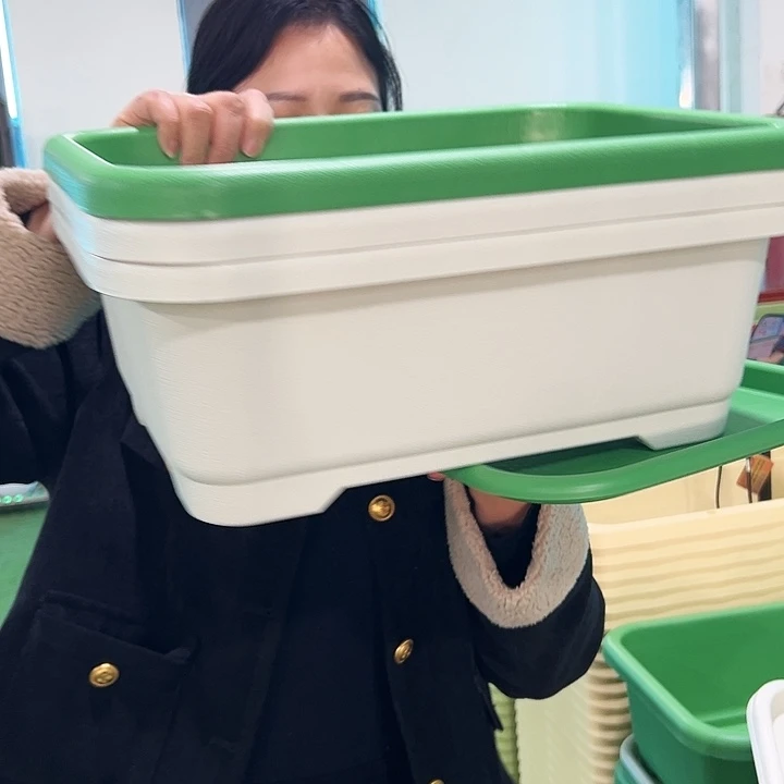 特价小菜盆长39宽28高15果绿带托3只