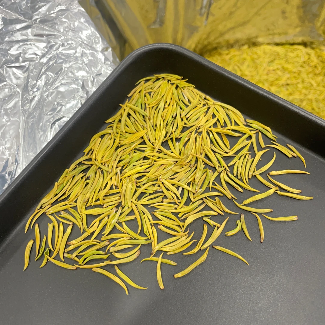 杨小伟【单芽黄金芽】2025年开园头采黄金芽 明前高山茶 礼盒装送礼