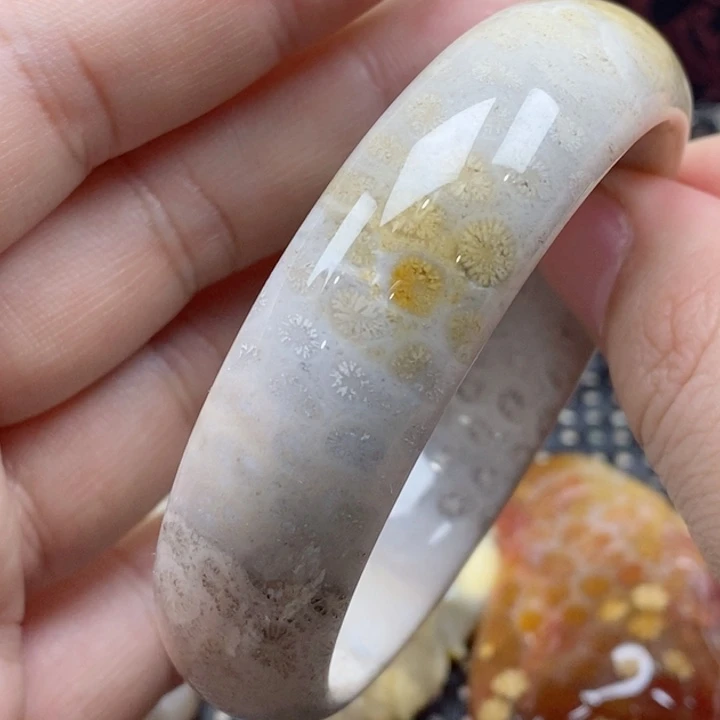 硅化珊瑚（珊瑚玉）颈饰未镶嵌56