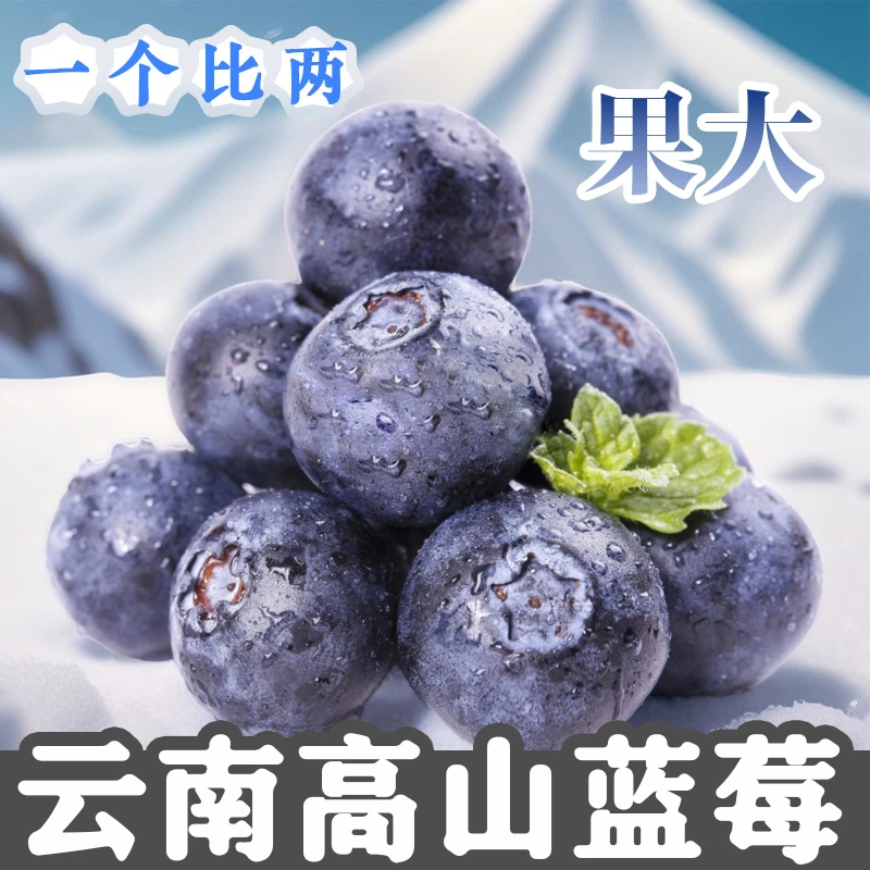 【顺丰发货】云南高山蓝莓新鲜现摘孕妇水果大果香甜礼盒25花香蓝莓