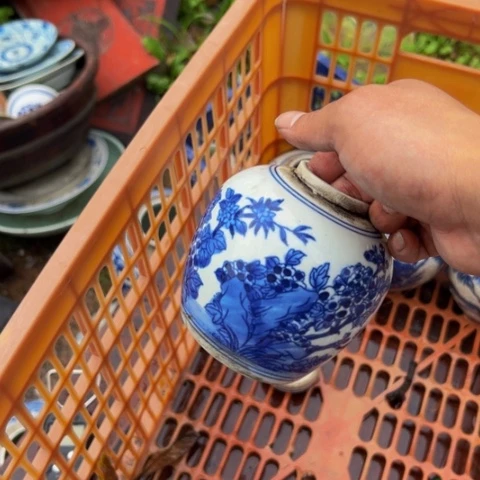 核桃木/黑胡桃（胡桃木）?****?