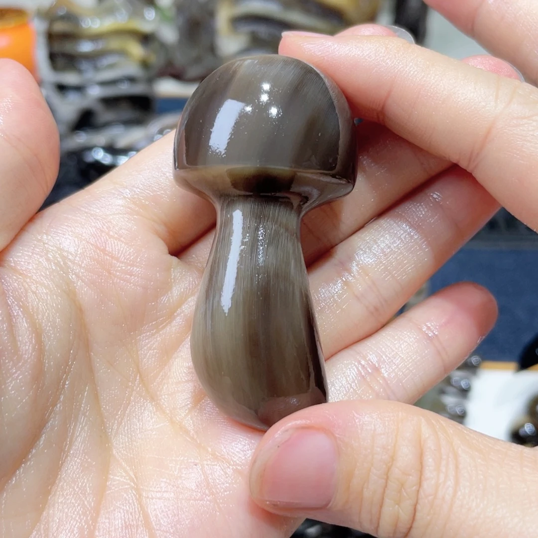 折后价 黑金刚蘑菇秒