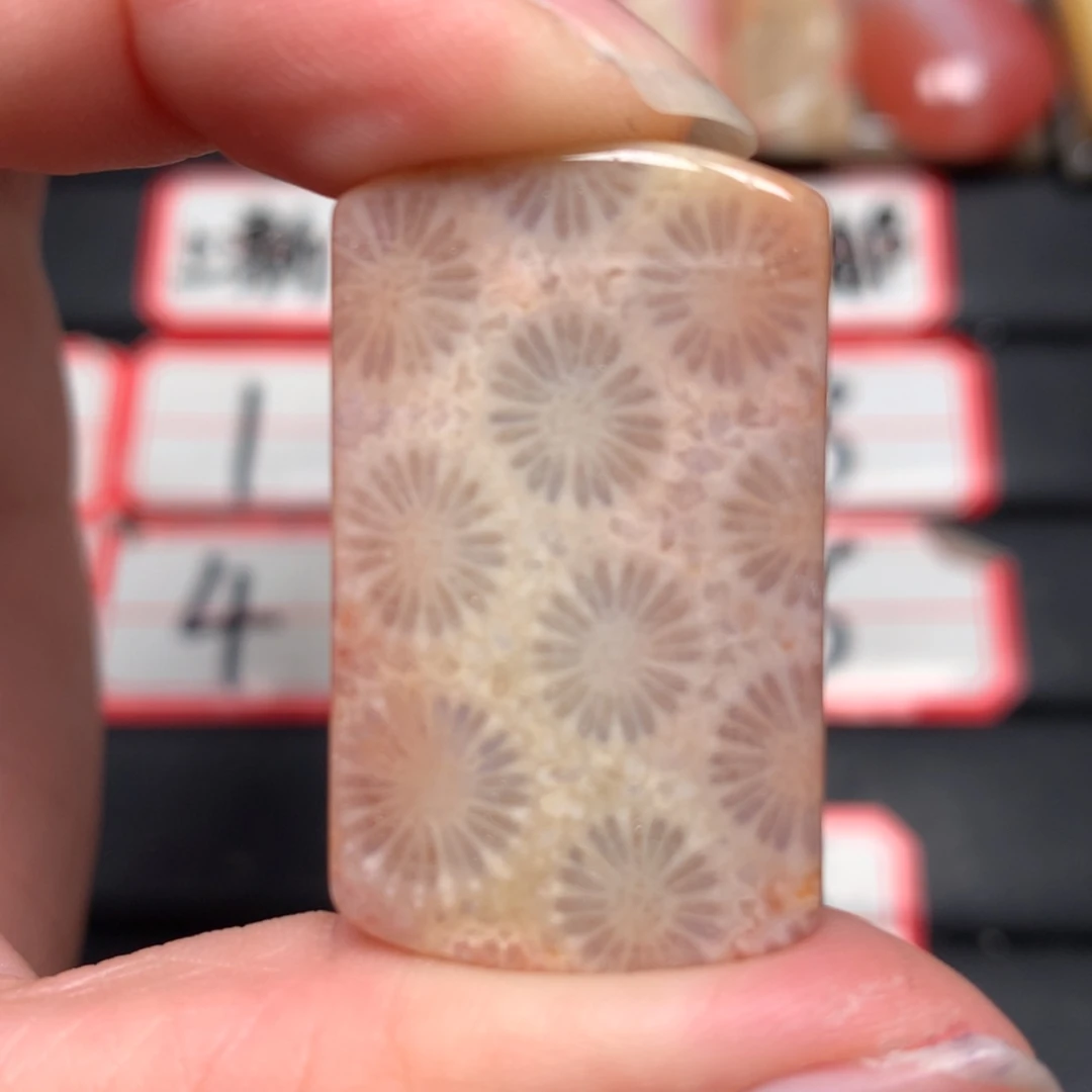 【闪购商品】未镶嵌颈饰硅化玉小****咪
