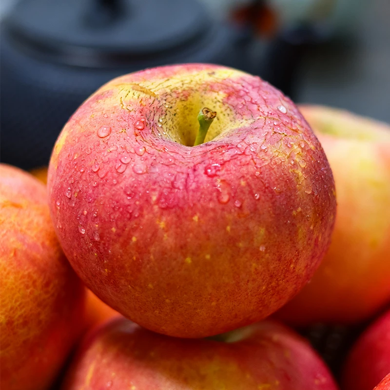 红富士正宗冰糖心苹果现摘现发脆甜多汁产地直发