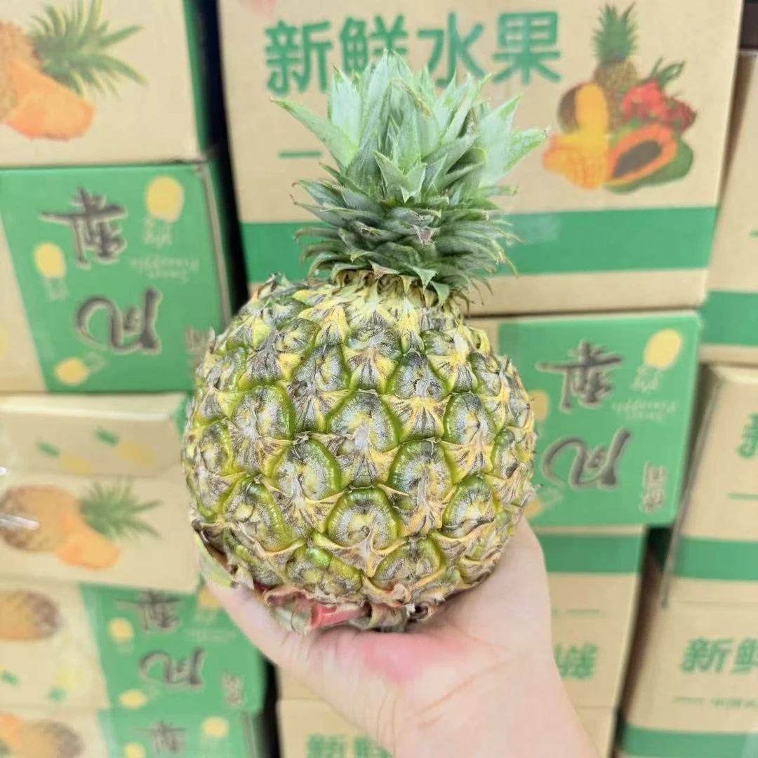 【凤梨】海南凤梨新鲜水果顺丰包邮