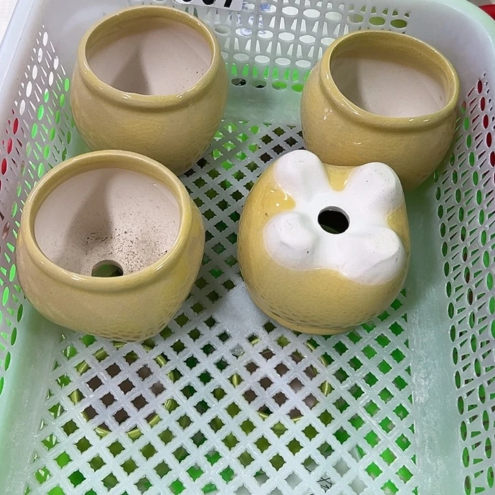 微瑕陶瓷花盆满9.9发
